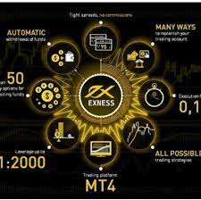 Cuenta demo de Exness revisada